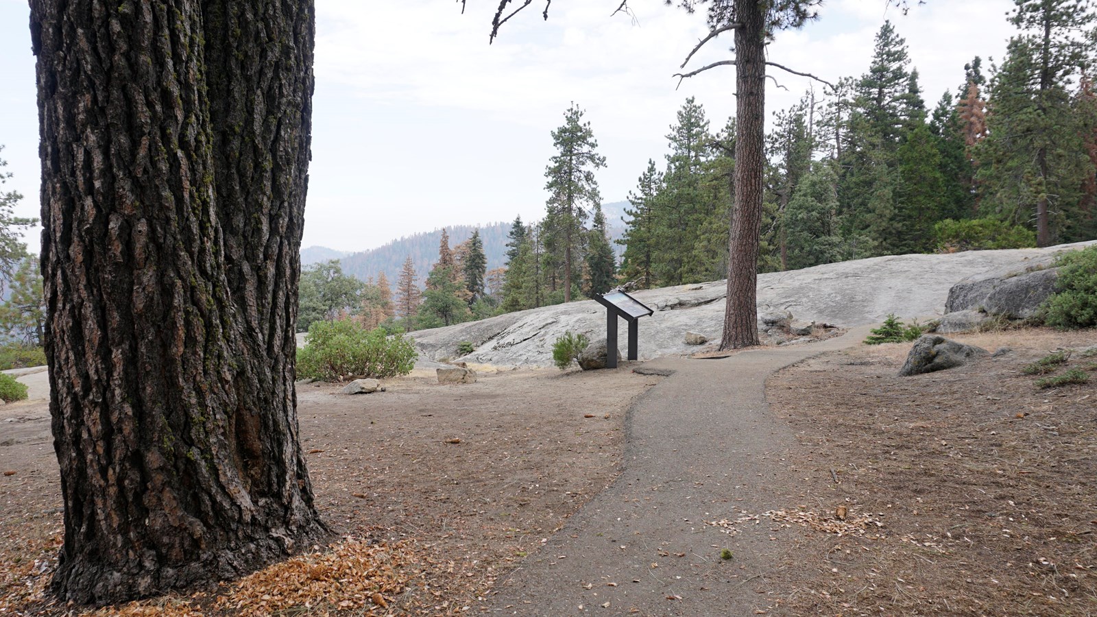 A large tree stands in the left foreground beside it is an asphalt path leading to a granite rock