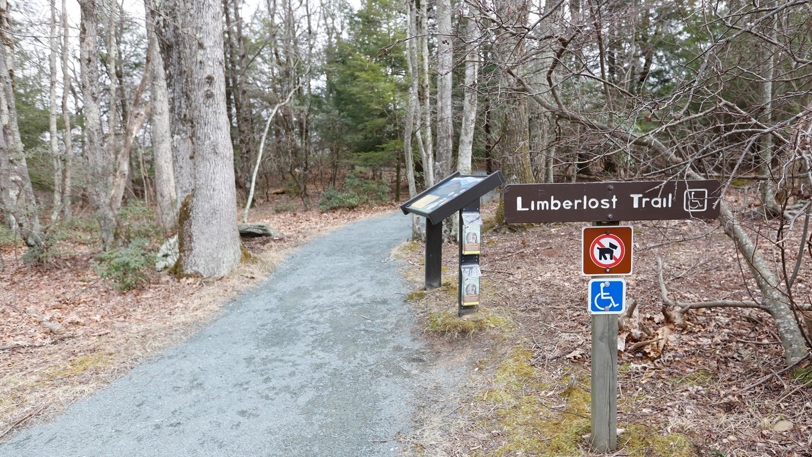A crushed rock trail leads into the forest, past several educational signs 