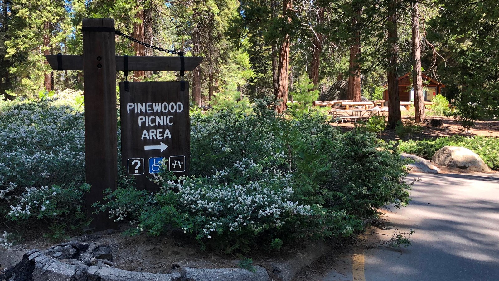 Pinewood Picnic Area Sign