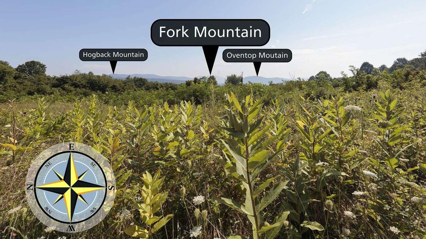 A view across a field with some mountains visible in the far distance.