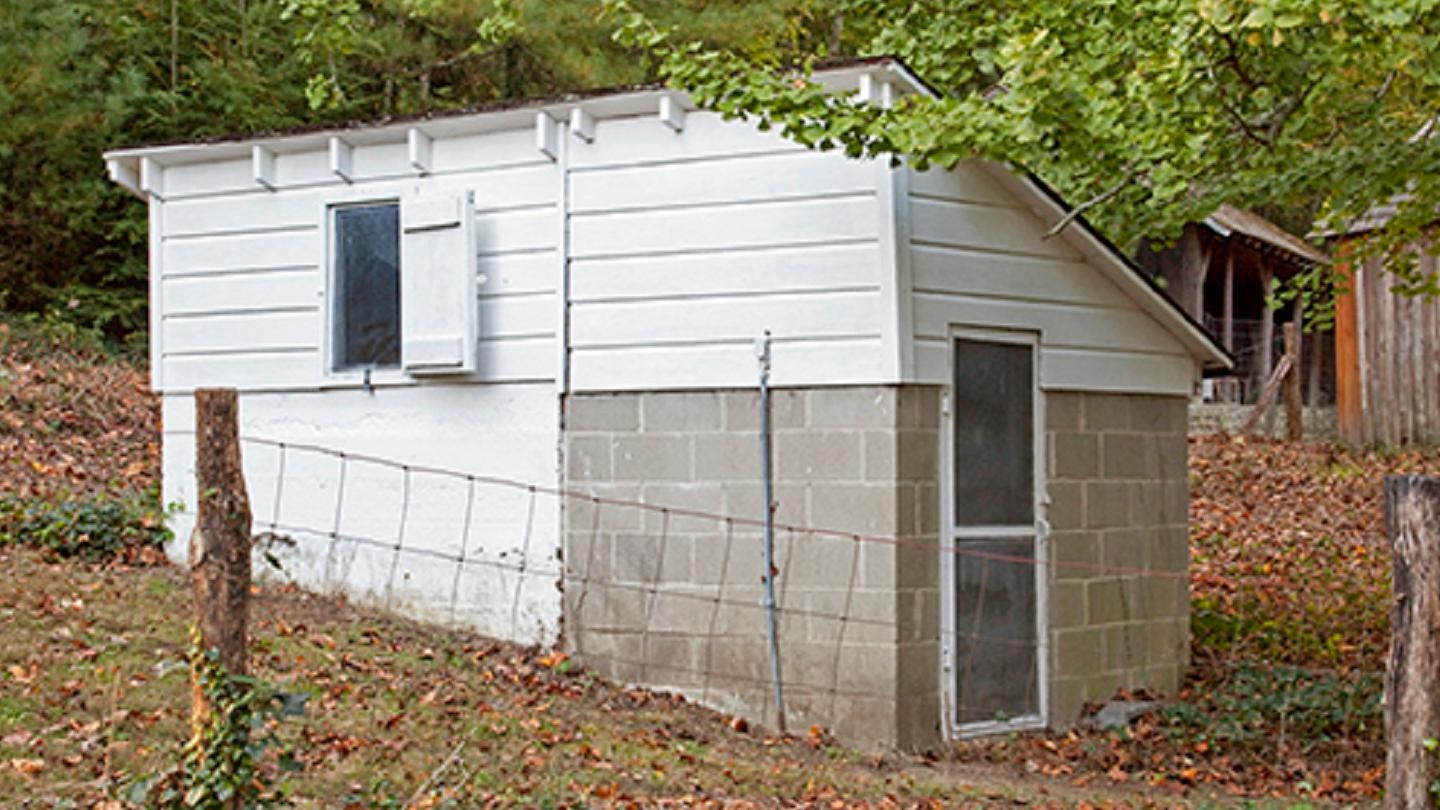 Small white wood building with a door and window sits in a wooded landscape