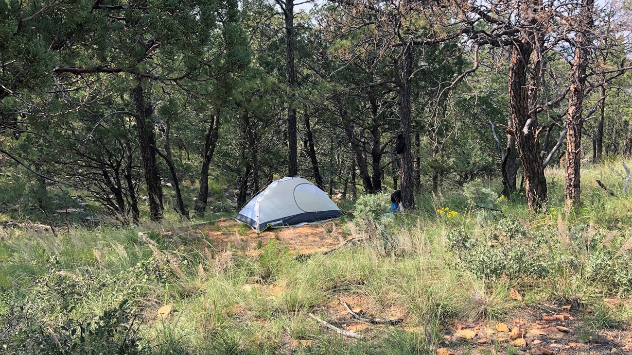 Tent on a dirt pad in a lightly forested environment