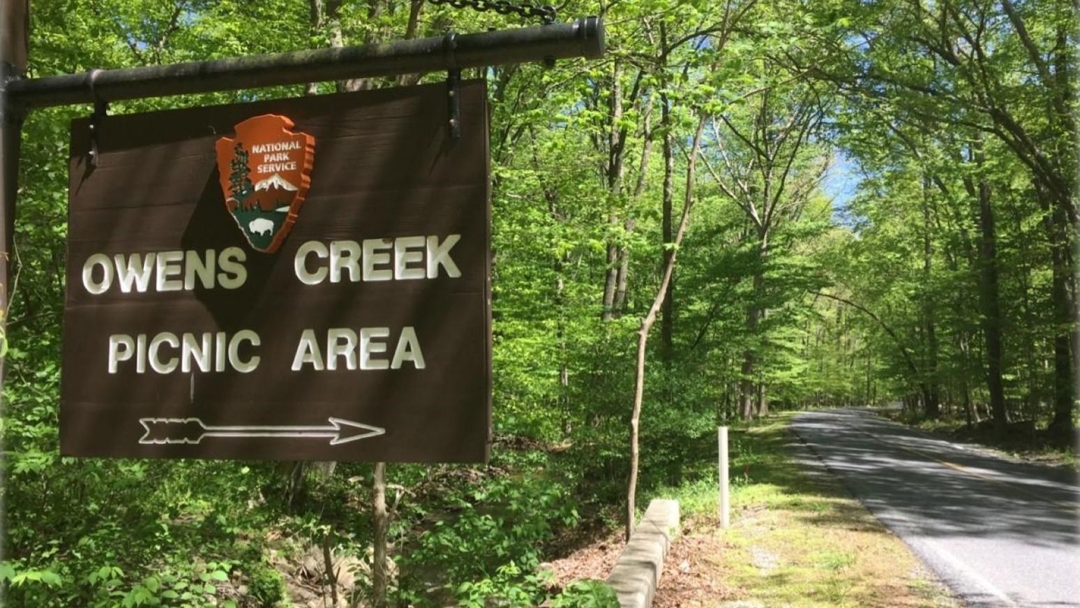 A wooden National Park Service sign on a roadside in a forested area.