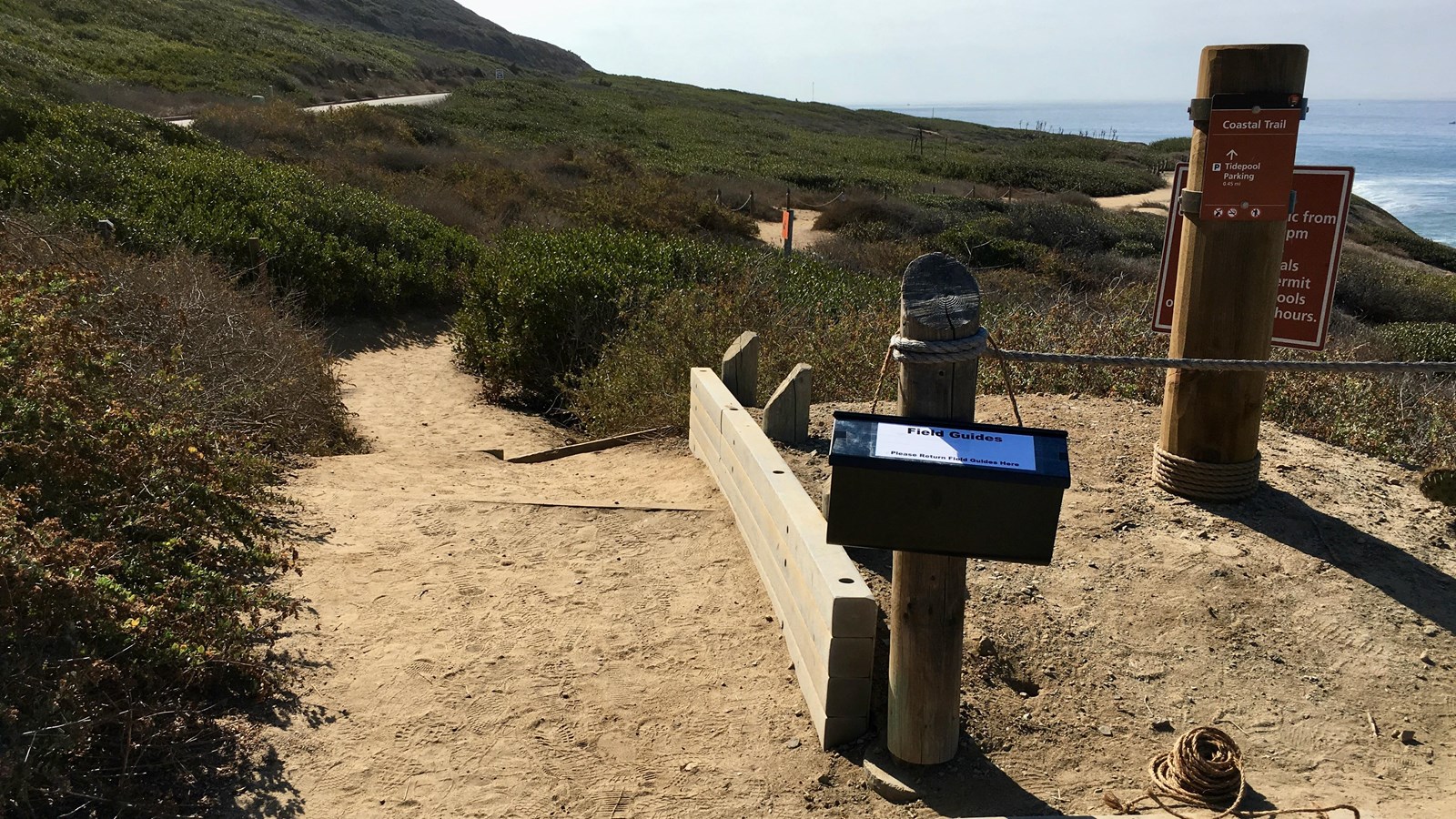 A dirt path with low lying shrubs on both sides. A black mailbox hangs on a wooden post on the right