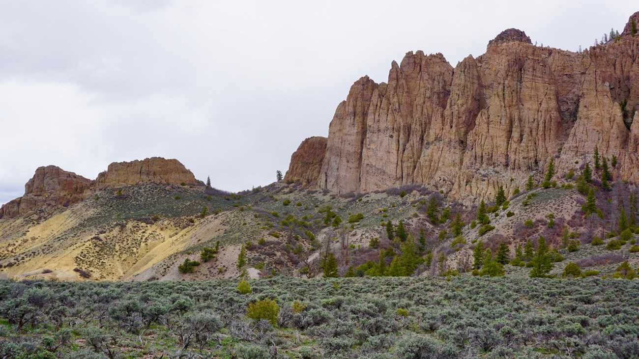 Tall rock spires in front of scrub land