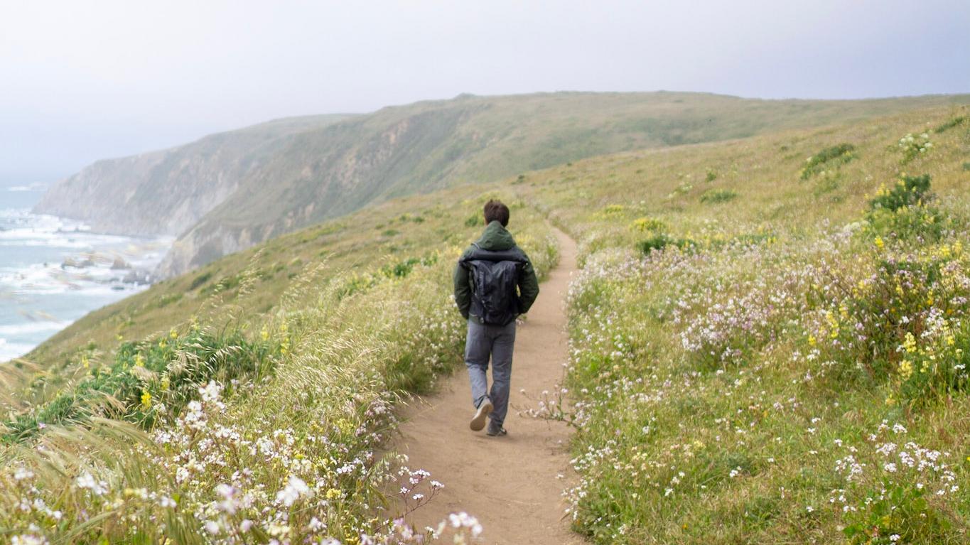 Hike the Tomales Point Trail (U.S. National Park Service)