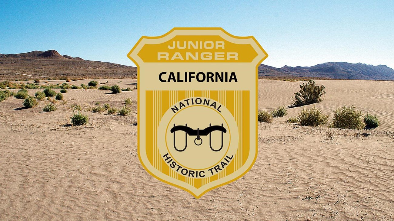 A junior ranger badge on a picture of a sandy desert.