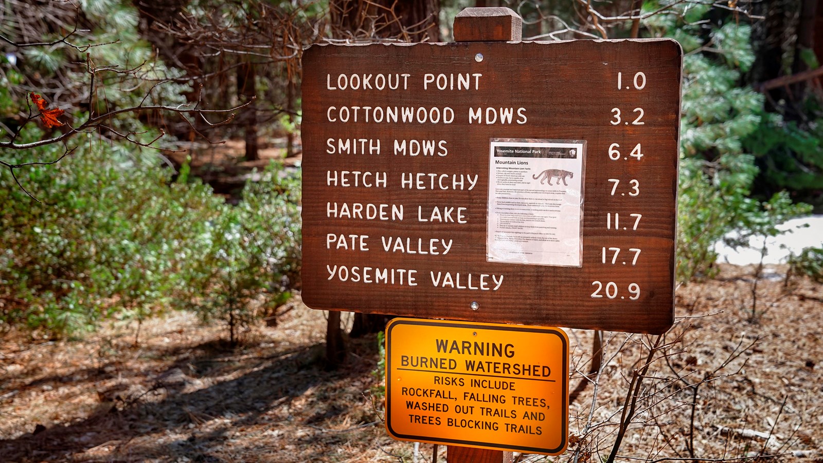 Wooden trailhead sign with mileages on it