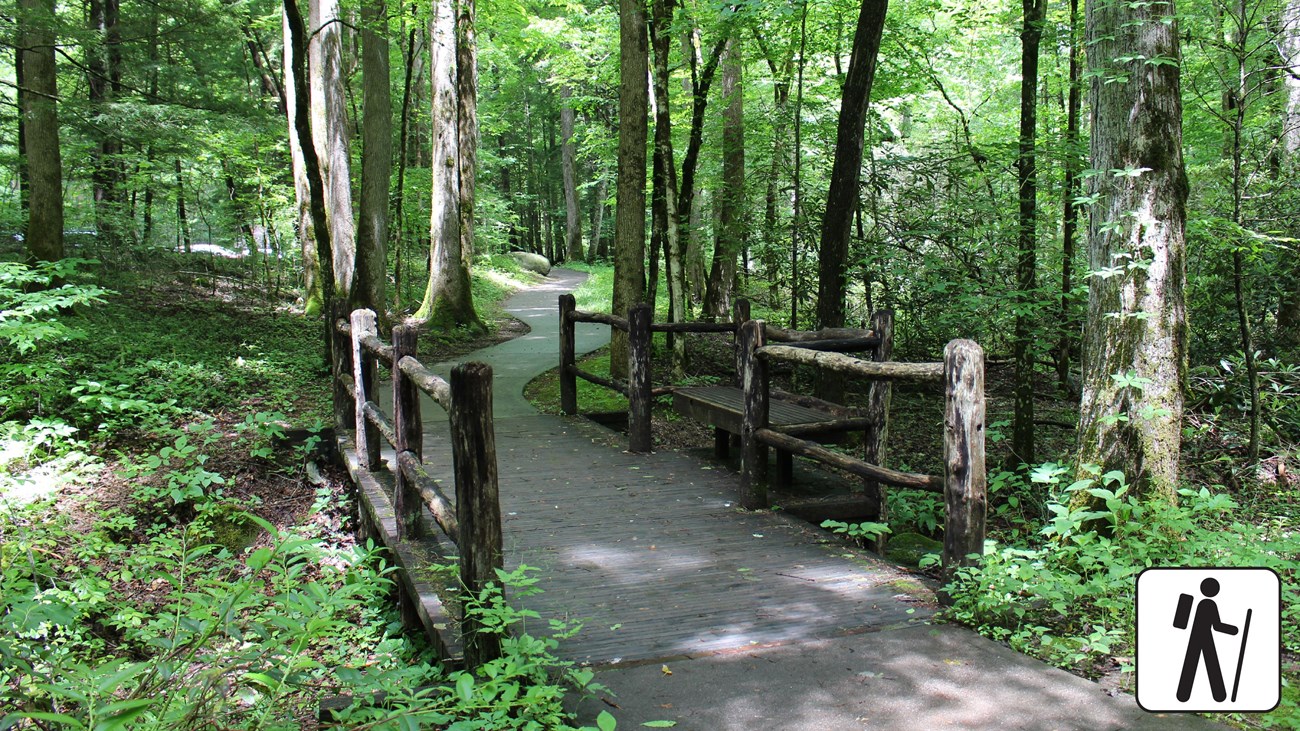 A wooden bridge on a paved trail in the woods.