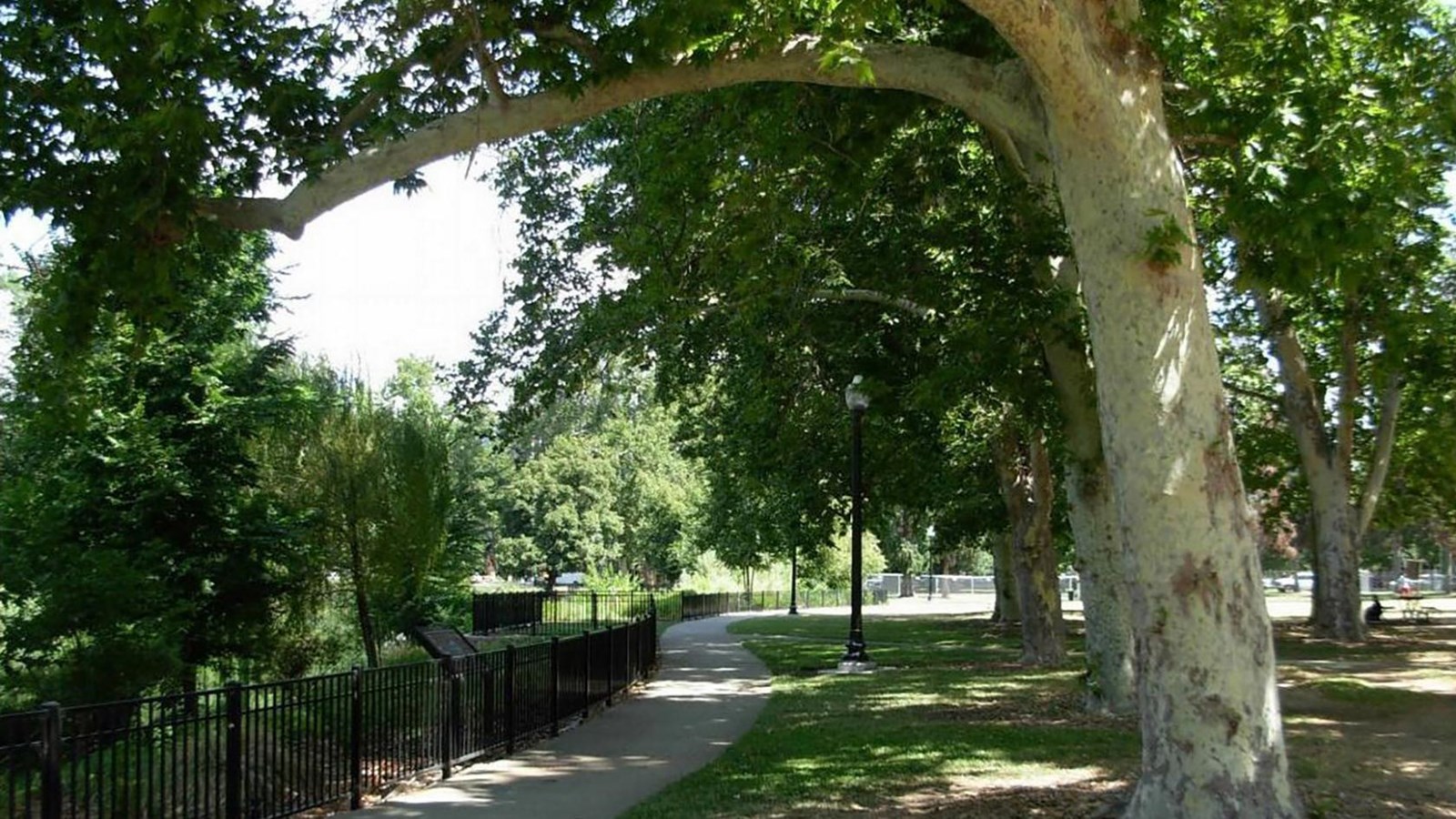 cement trail through a park with trees and a fence running along the path