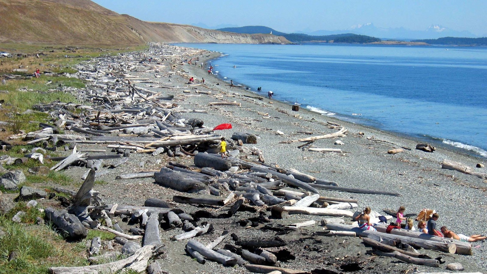 Gray sand beach with lots of large driftwood logs. A group of people are sitting on some of the logs