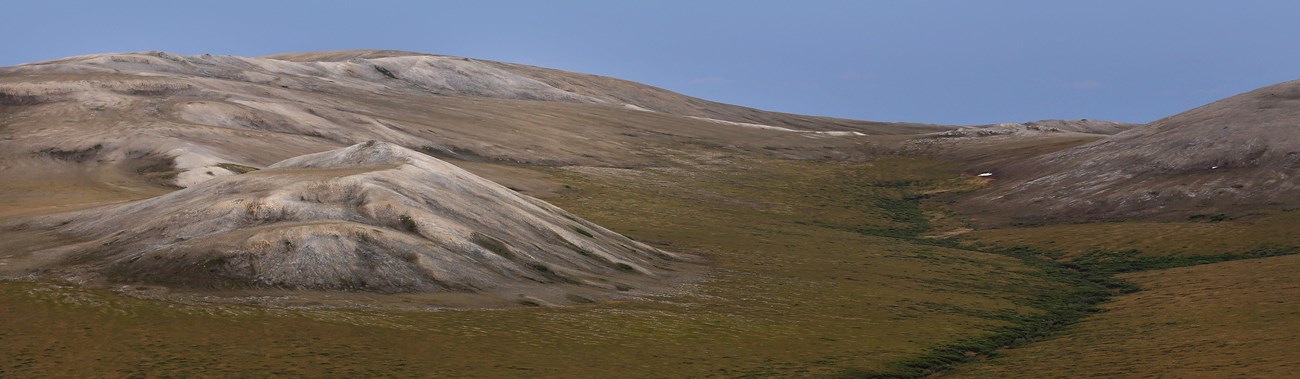 Landscape view of vast green tundra stretching out towards rolling grey hills.