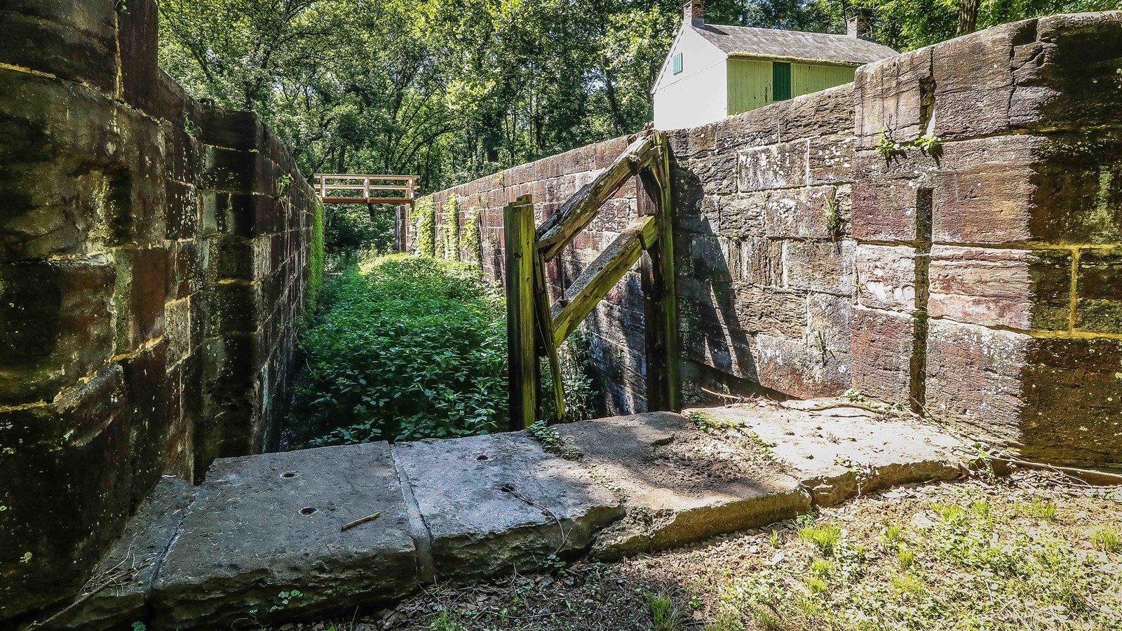 A look down a bush filled lock with two lock walls stretching up on the right and left. 