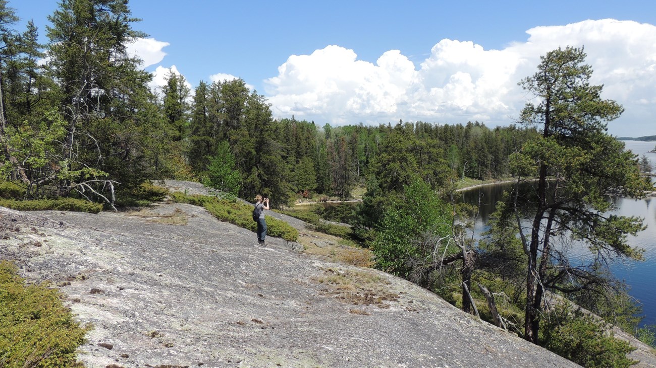 Someone stands on top of the granite outcrop at Anderson Bay looking at the bay and trees below.