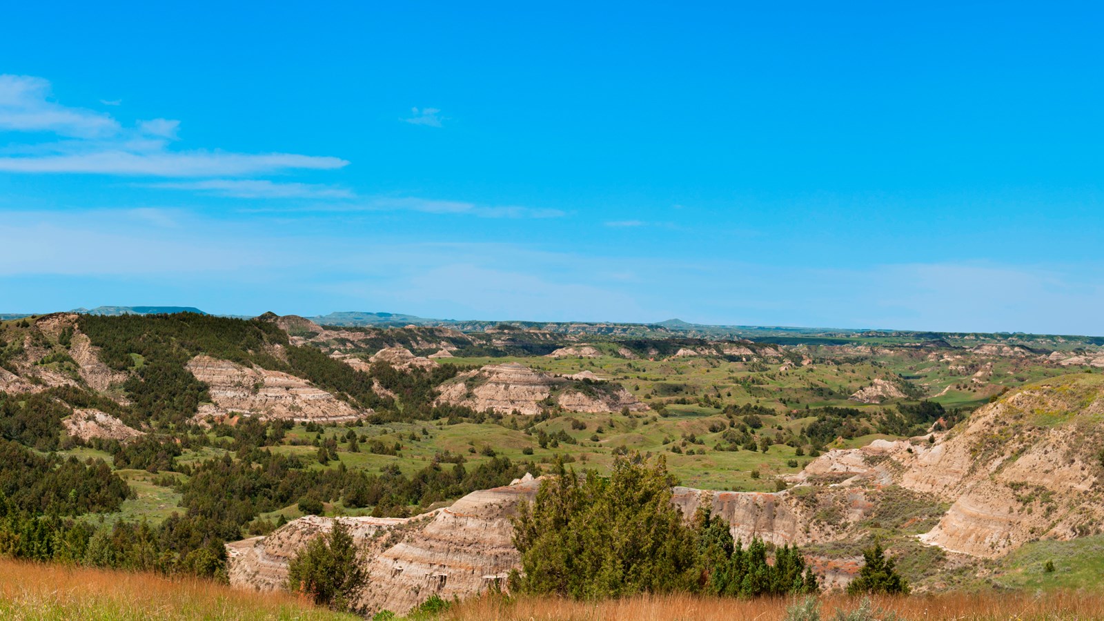 A view across the badlands, with buttes visible on the horizon, and trees and valleys below.