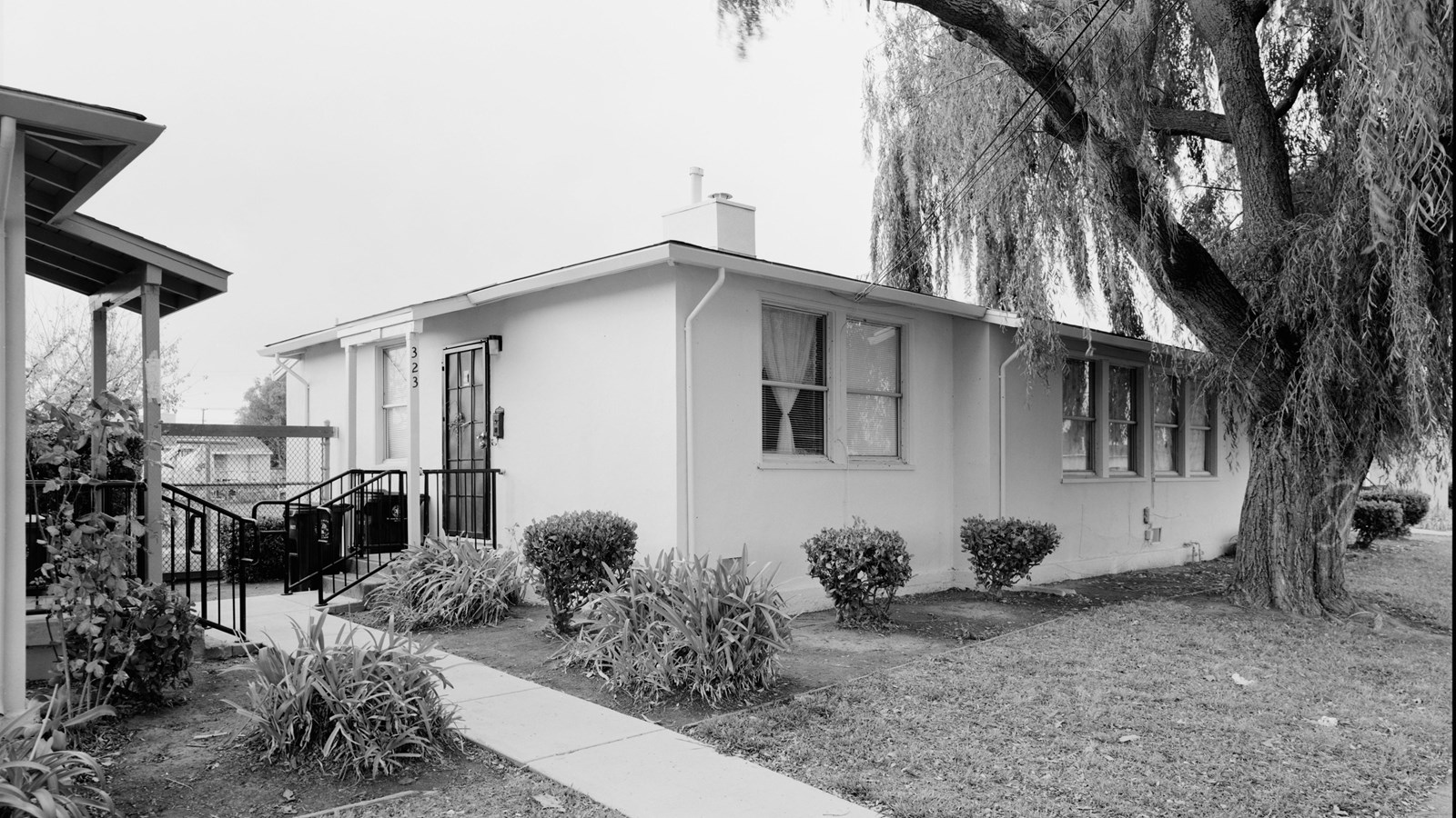 A single story home with windows and a tree in front. 