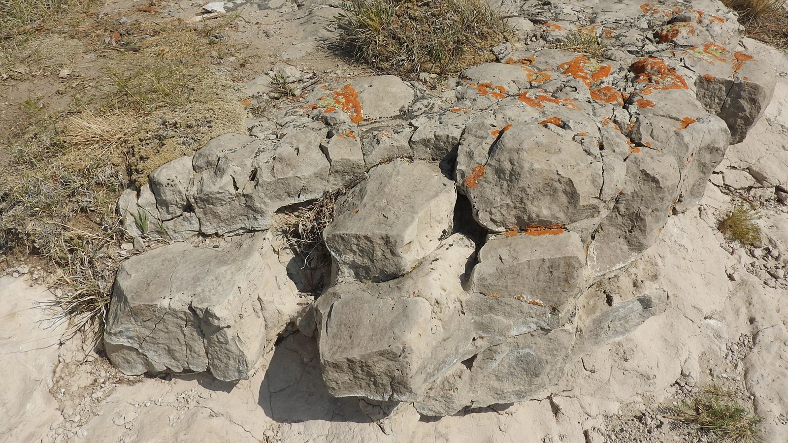 A layer of gray colored rock with splotches of orange lichen. 