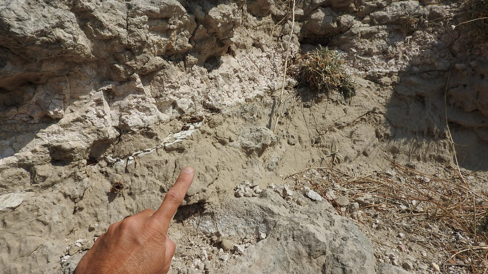 A finger points to a layer of pinkish-colored rock embedded within layers of darker rock.