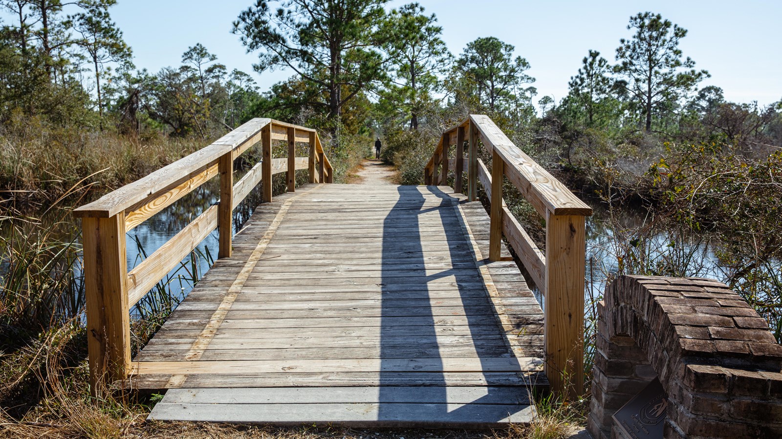 A wooden bridge arches over and turns into a trail that continues on into the forest.