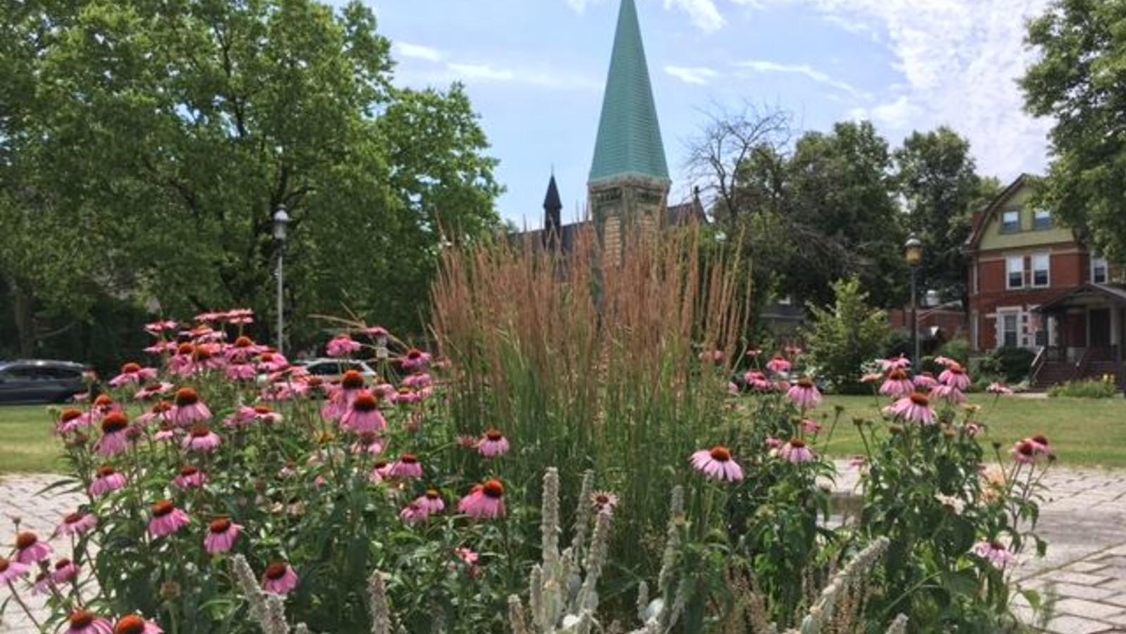 A section of native plants in Arcade Park in front of the Greenstone Church. 