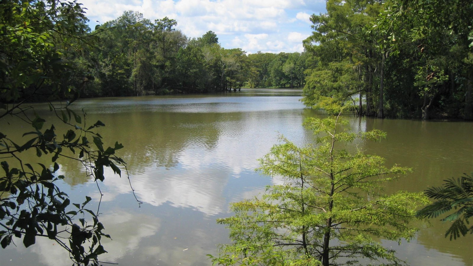 view of a wide river with trees in the foreground