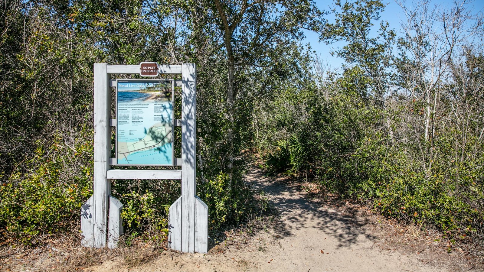 A sign for the North Bay Trail stands next to a sandy trail into the forest.