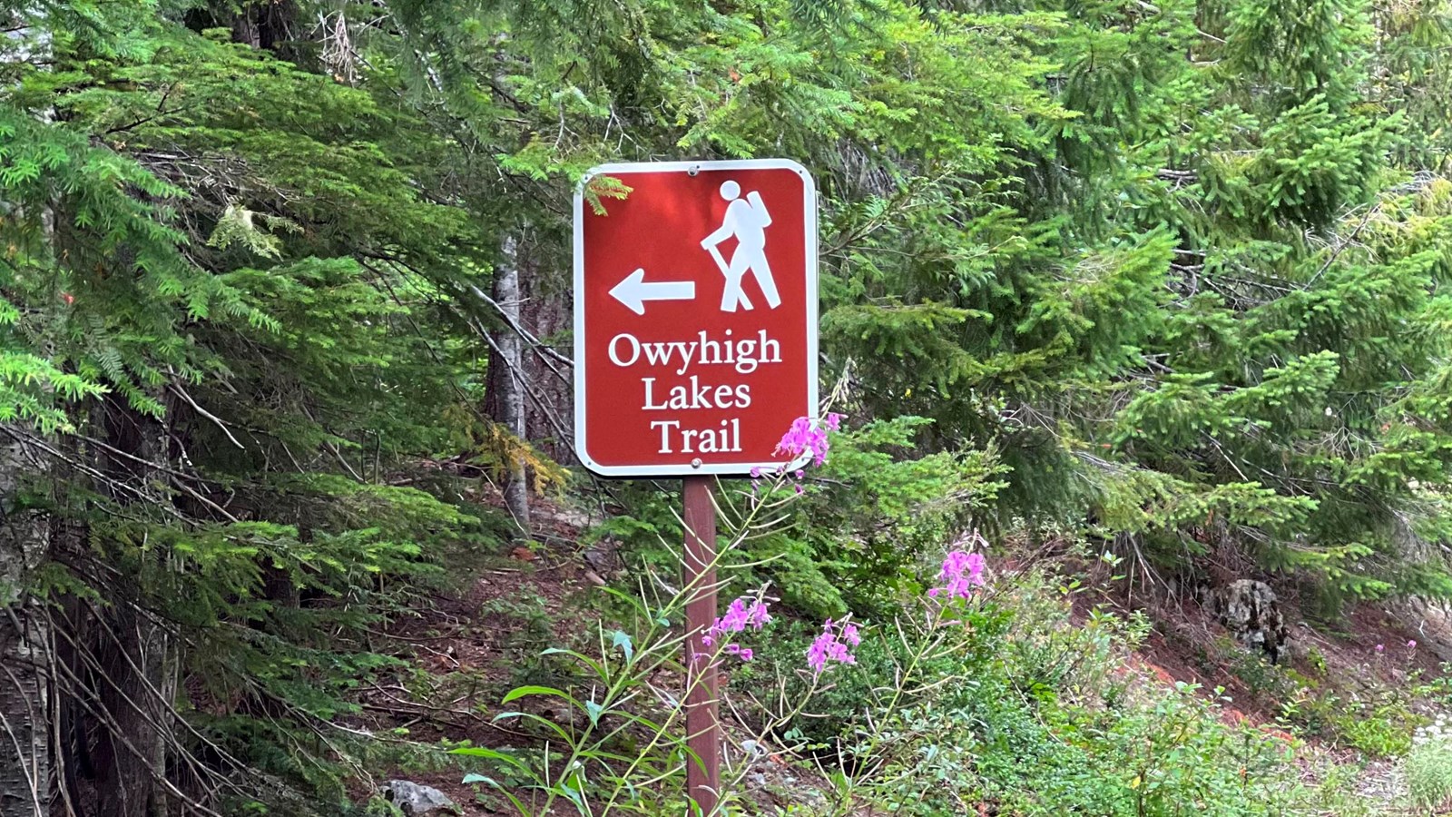 A small brown rectangular sign with a white silhouette of a hiker marks a trailhead