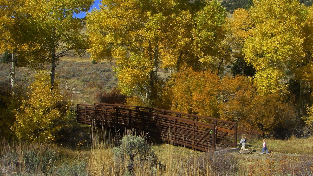 Yellow Fall Colors on aspen trees surrounding a bridge that two children approach.