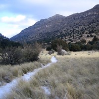 A gravel trail cuts through a grassy meadow with a tall desert mountain cliff rising behind.