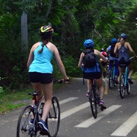 Bicyclists with helmets ride along a paved wooded trail lined with trees.