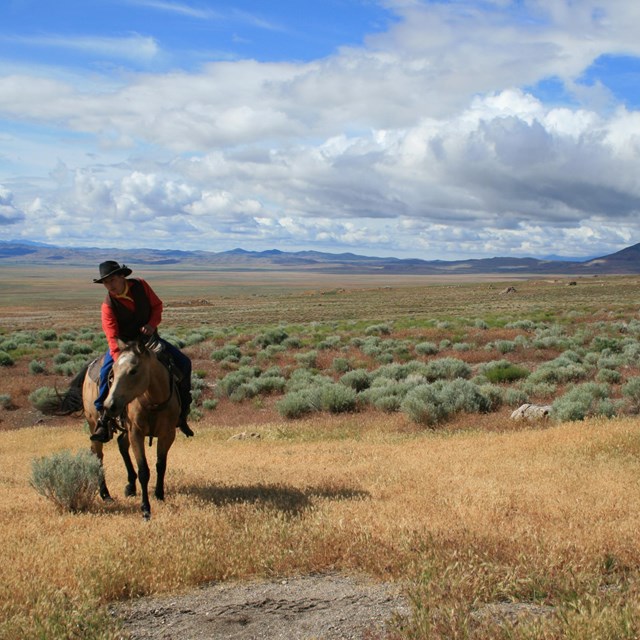 A cowboy rides a horse in a vast shrub desert plain.