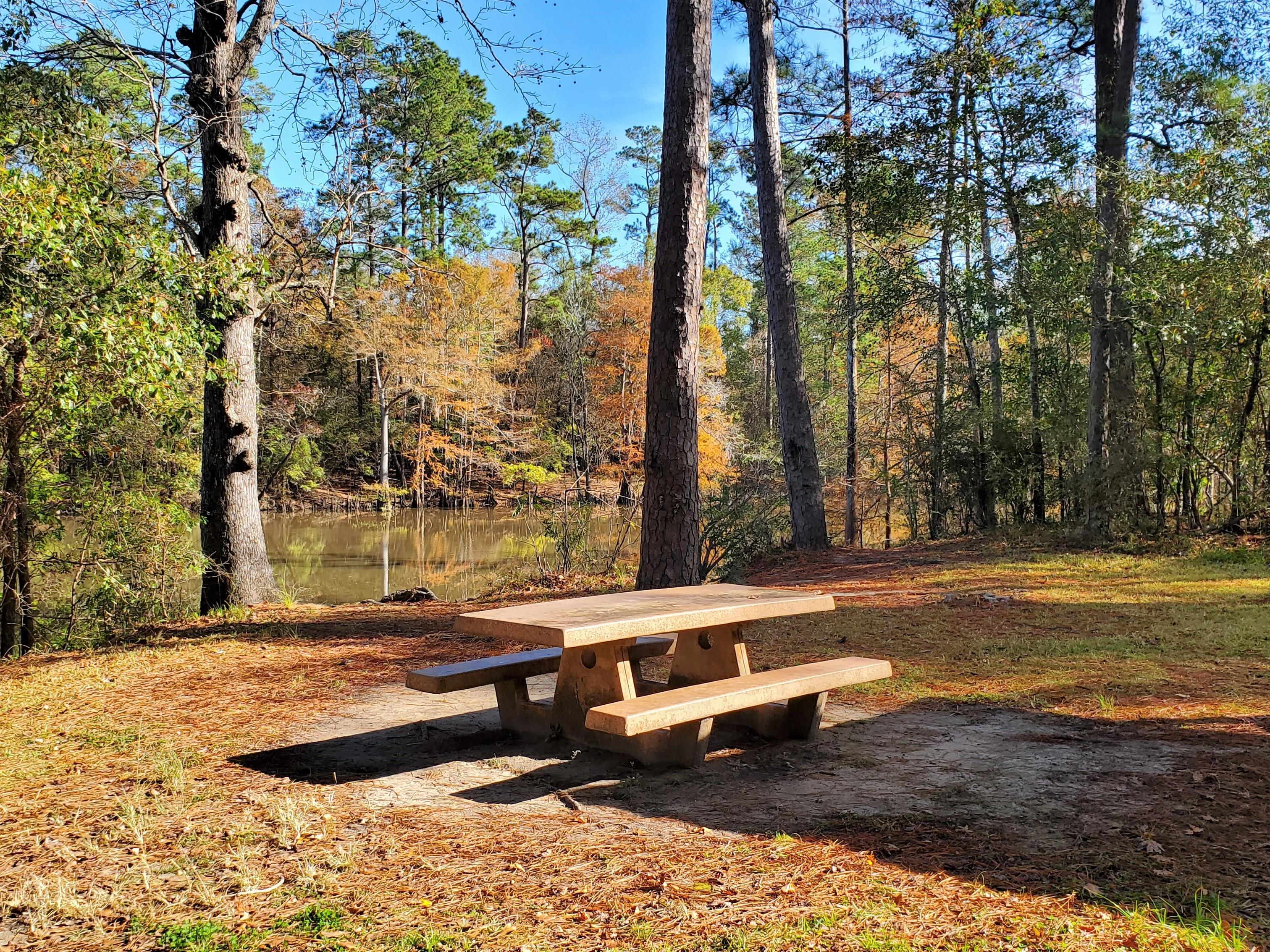 Beaumont Unit Big Thicket National Preserve U.S. National Park