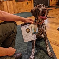 Olympic National Park - BARK Ranger Jimmy is a majestic representative of  Olympic's BARK Ranger program! Learn how your pet can become a BARK Ranger  here