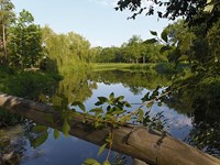 Eleanor Roosevelt National Historic Site Cultural Landscape (U.S. National  Park Service)