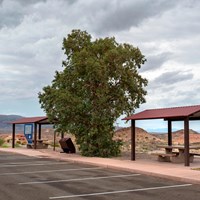 Two picnic shelters next to a parking lot