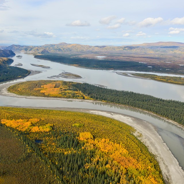Aerial view of the Yukon River and fall colors