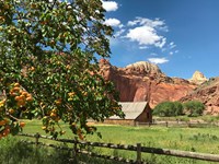 Pioneer Women of Capitol Reef (U.S. National Park Service)