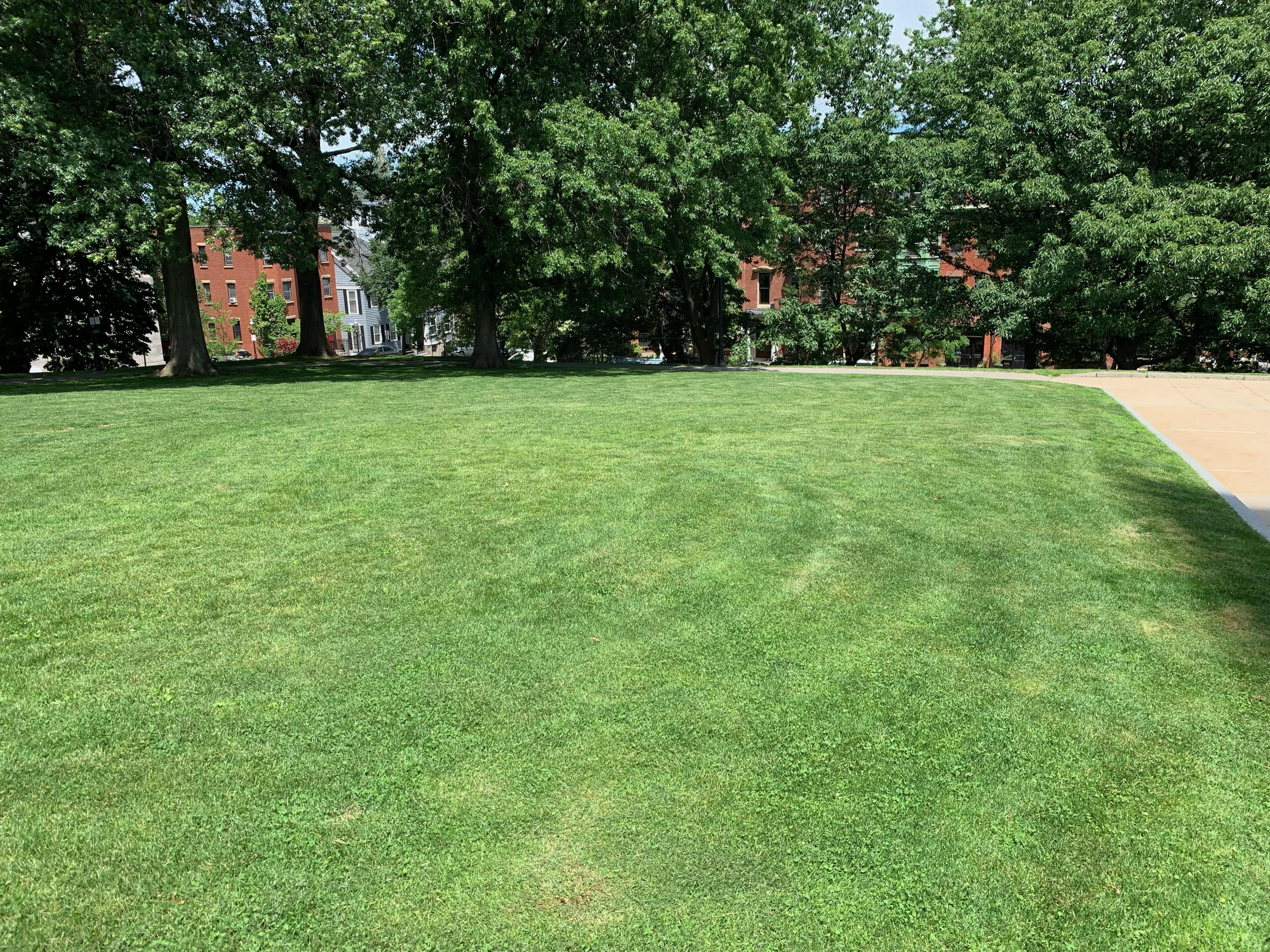 Turf Management - National Mall and Memorial Parks (U.S. National Park  Service)