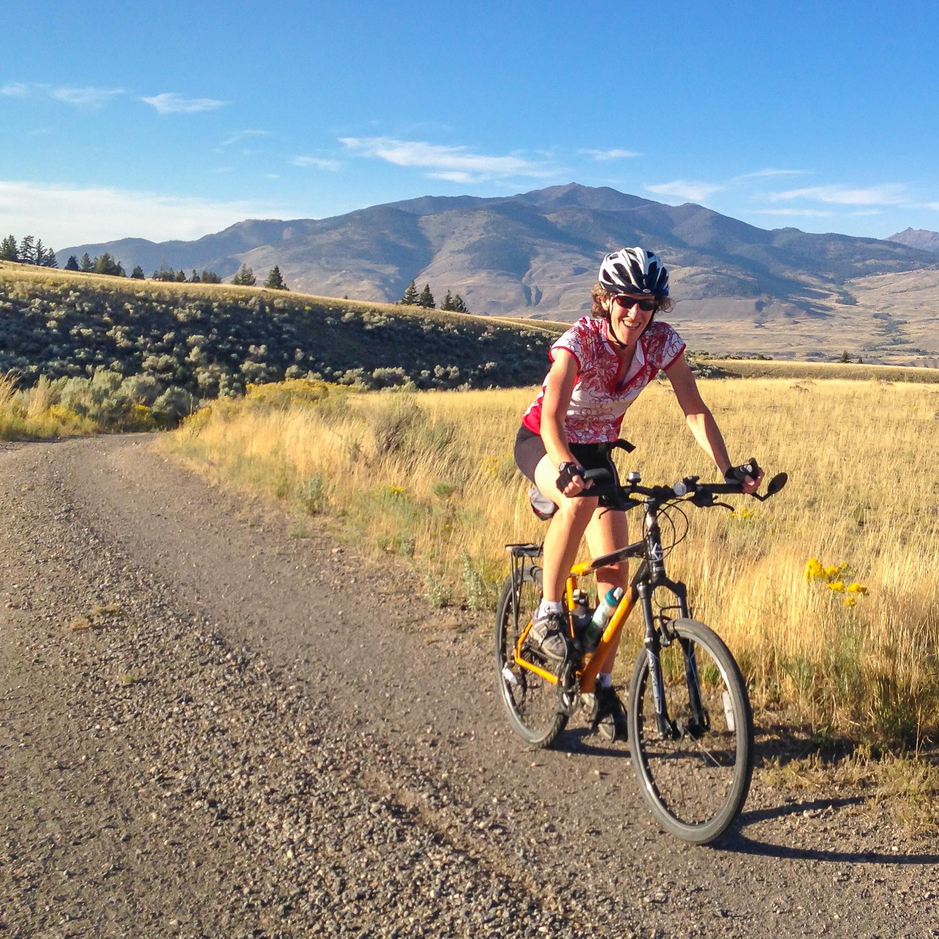 mountain bike yellowstone