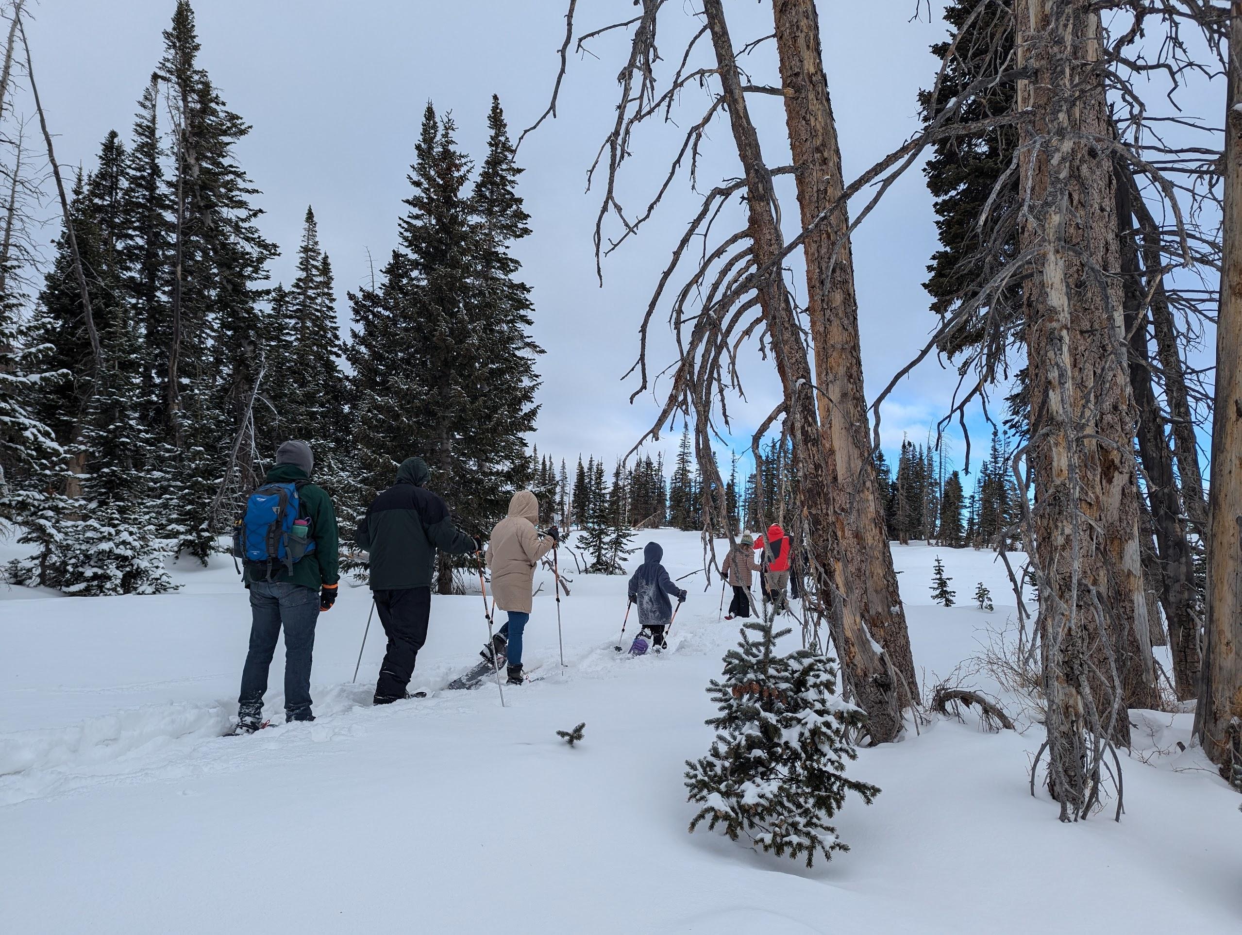 Guided Snowshoe Tours promotional image