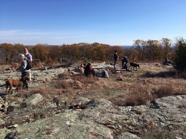 Hikers atop a rocky glade top with dogs, fall colors and blue sky.