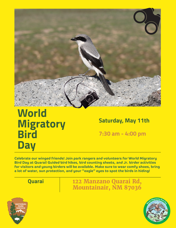 A flyer advertising World Migratory Bird Day