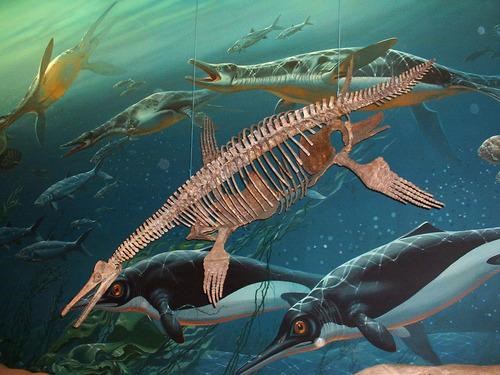 A fossil skeleton hangs from the ceiling with and aquatic scene as the backdrop