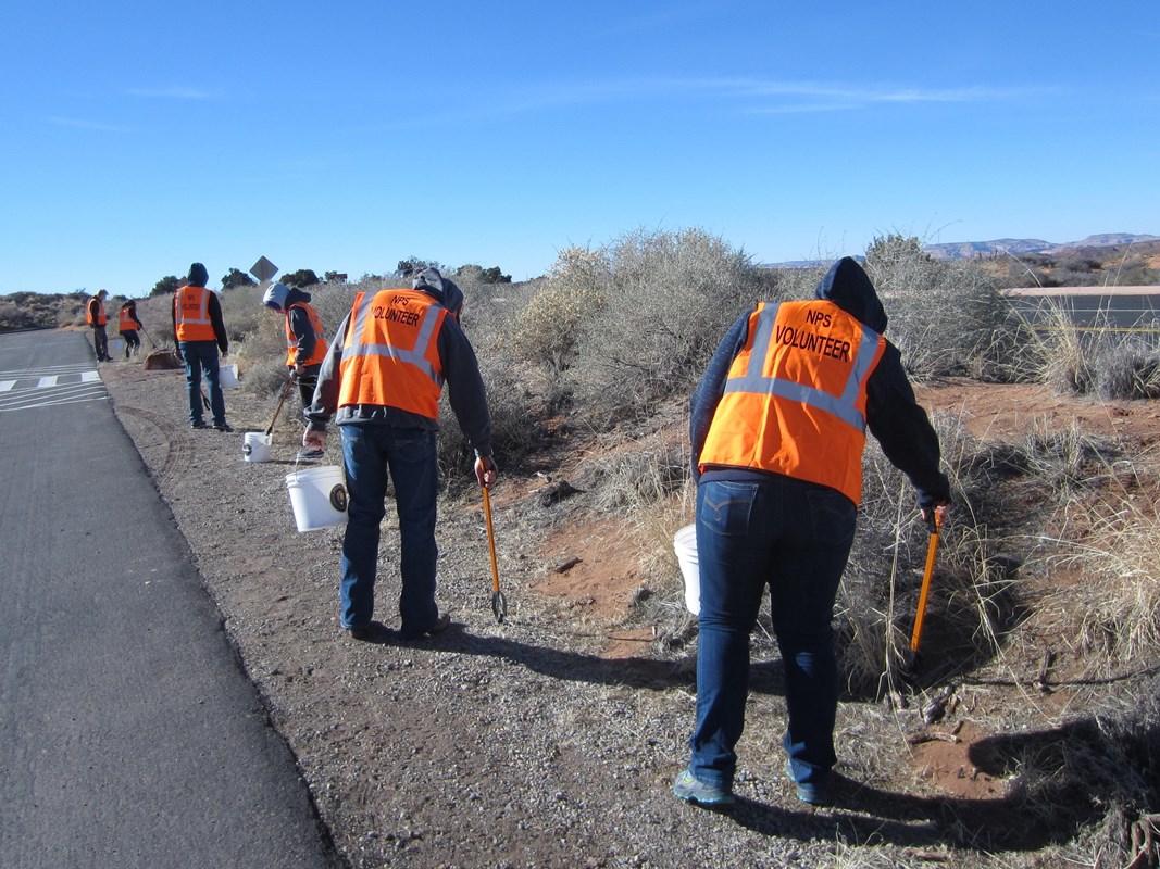 volunteers collect litter beneath roadside plants
