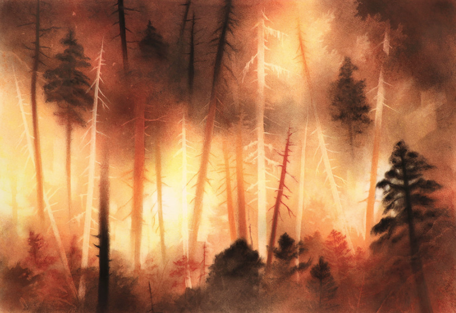 A charcoal and soft pastel drawing of a forest fire with blackened trees and a red-orange glow.