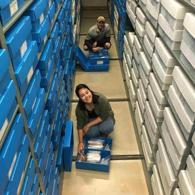 Curators in an aisle