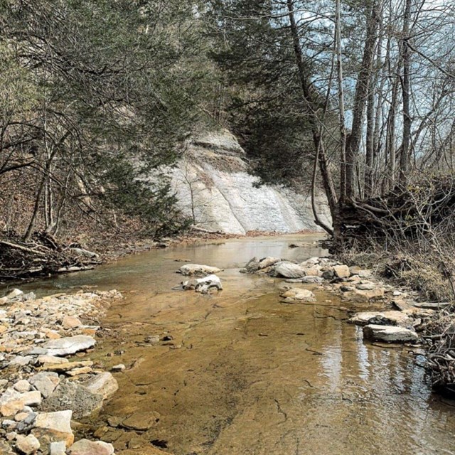 Knob Creek Creek