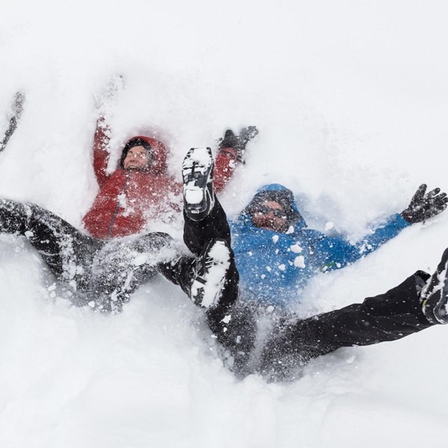 Visitors making snow angels