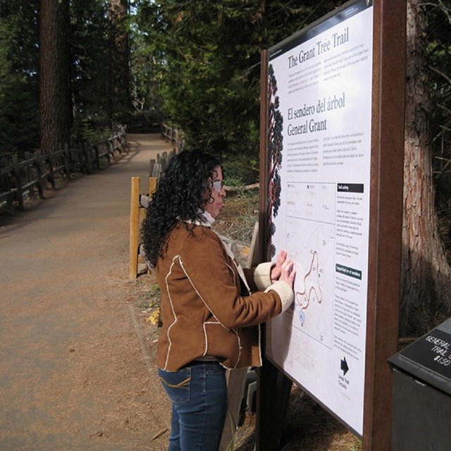 Woman reading a braille and tactile image found along the Grant Tree Trail in Sequoia National Park