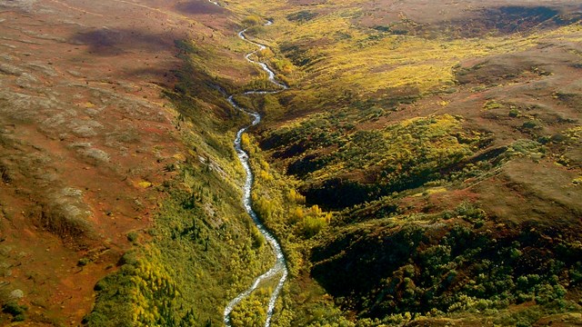 a river runs through tundra in the fall in an aerial shot